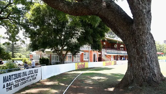 Tree inside a Cricket Ground - CricketMastery.com