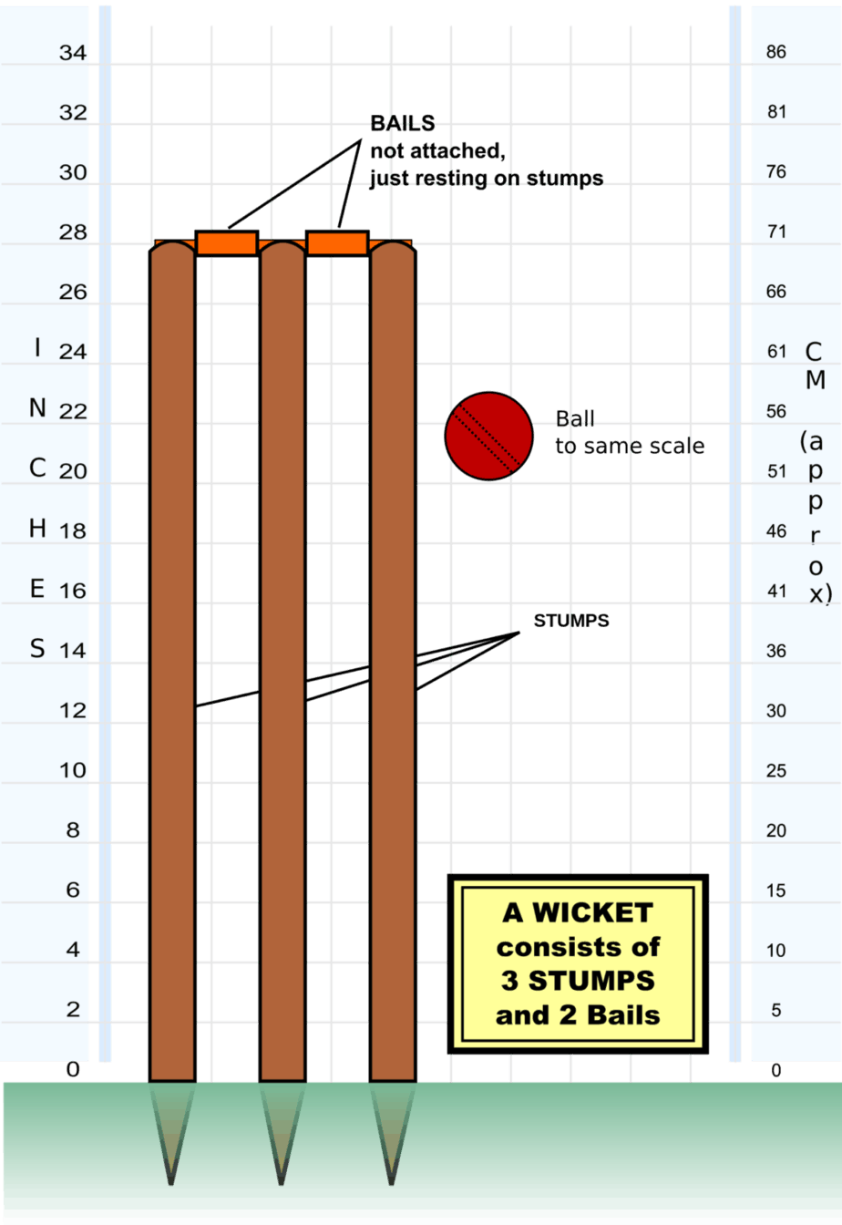 Cricket Pitch Length & Width (With Dimensions & Visual Illustration