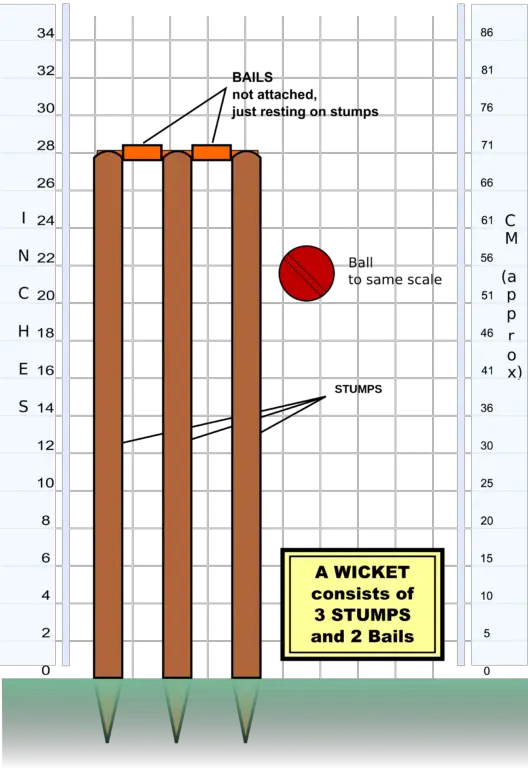 cricket-pitch-wickets-and-creases