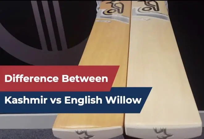 Kashmir Willow vs English Willow: Which one should you choose?