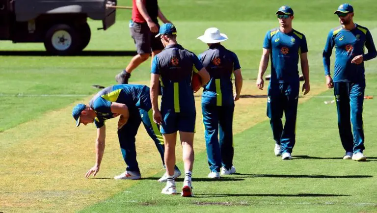 How to Read a Cricket Pitch? Avoid Bad Decisions with These Tips ...