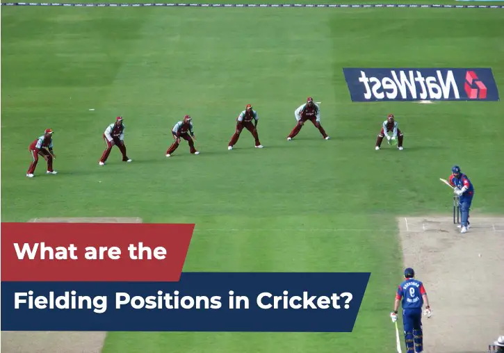 what-are-fielding-positions-in-cricket-a-detailed-guide-cricket-mastery