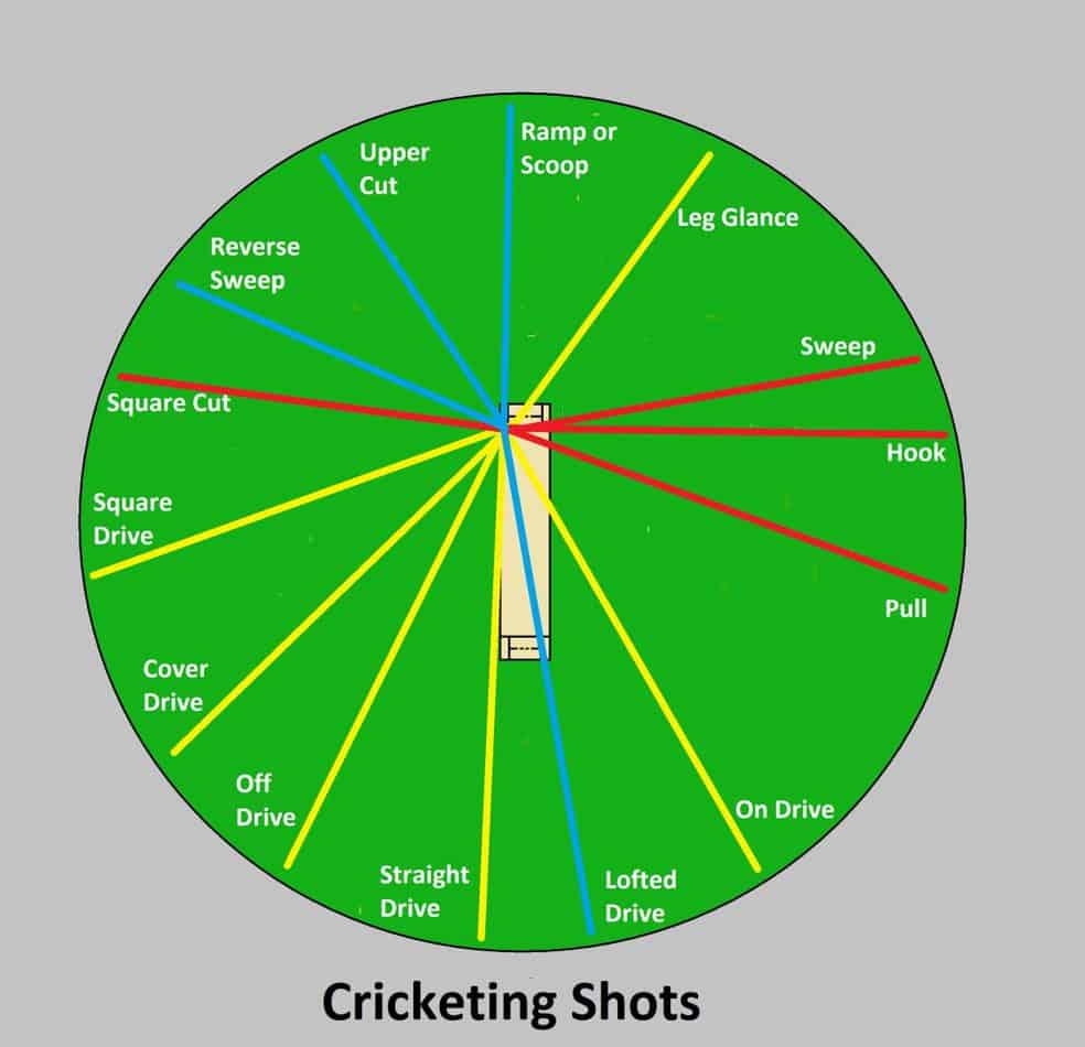 Different Types Of Shots In Cricket