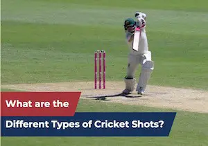 What are the various types of cricket shots